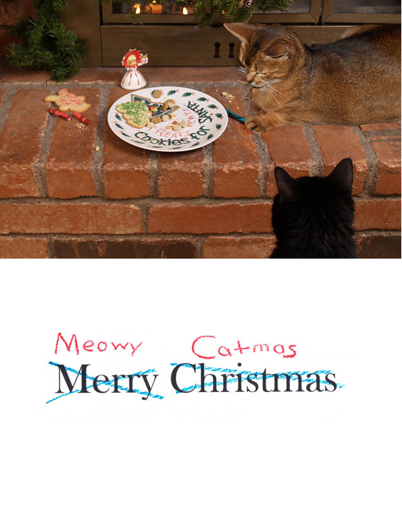 2006 Catmas Card