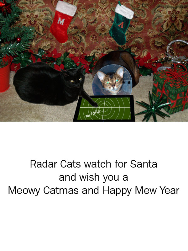 2011 Catmas Card