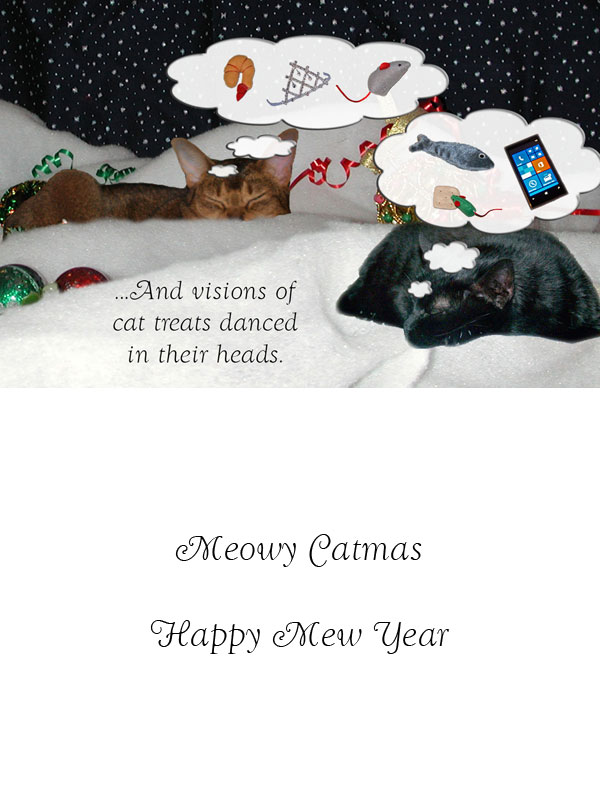 2012 Catmas Card