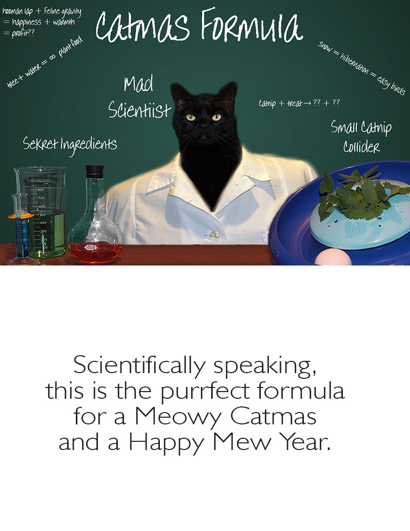 2014 Catmas Card