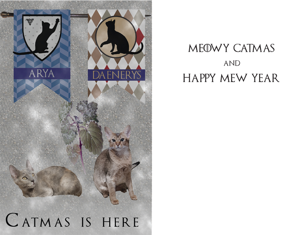 2019 Catmas Card