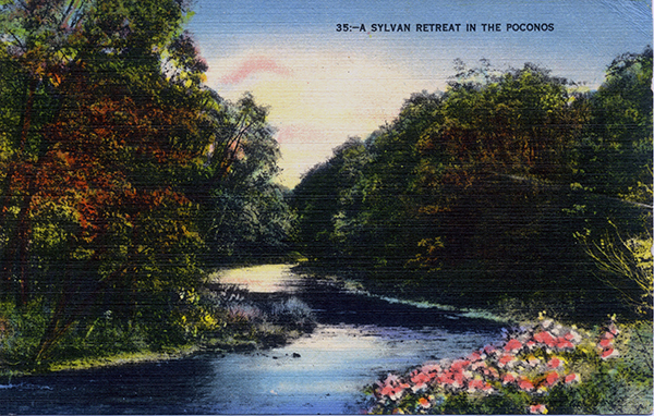 Sylvan Retreat in The Poconos