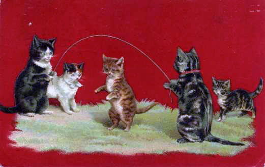 Jump Rope Kitties