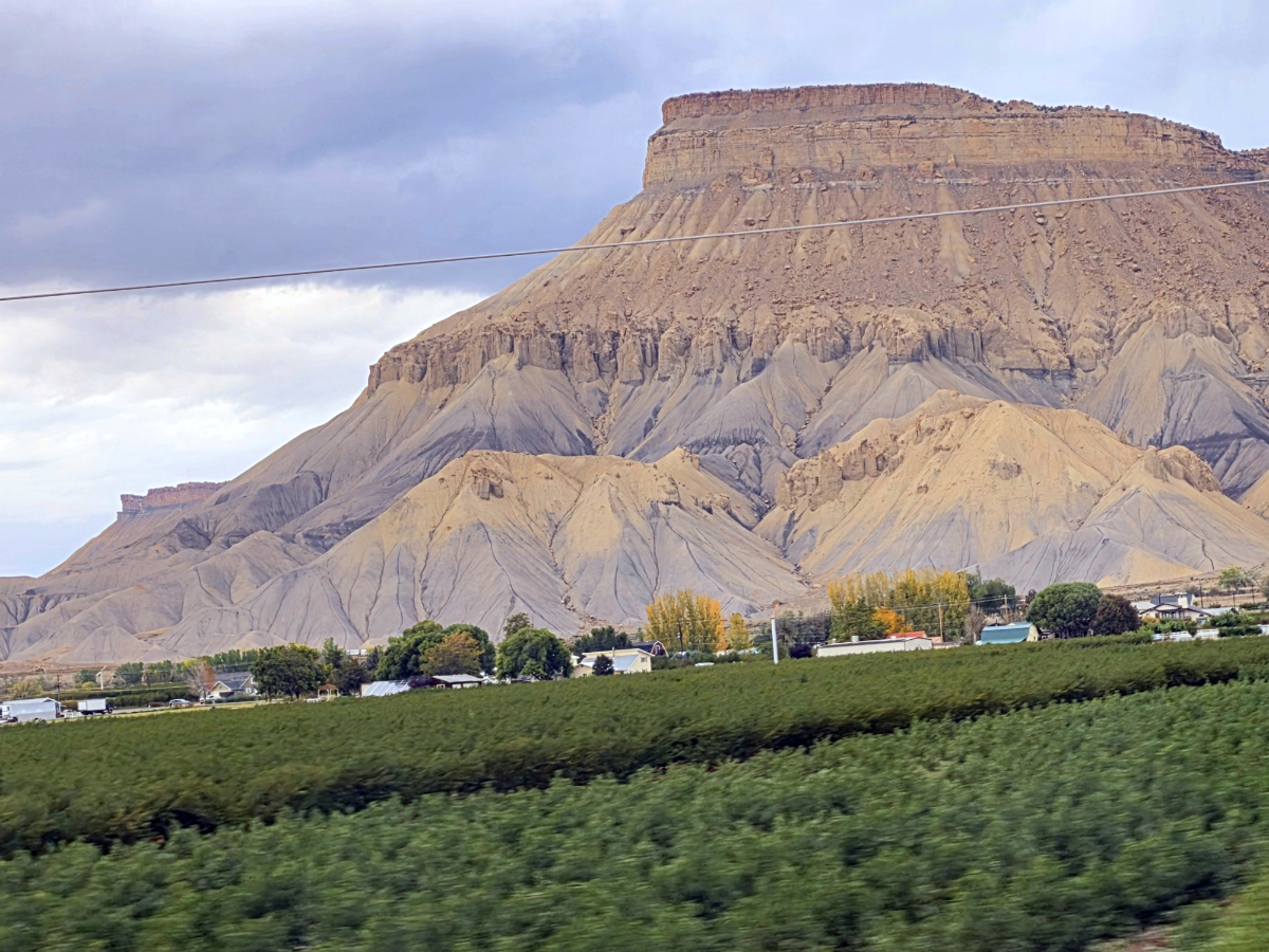 Palisade, Colorado