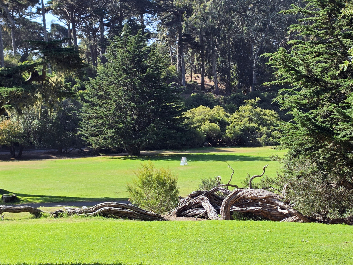 Golden Gate Park