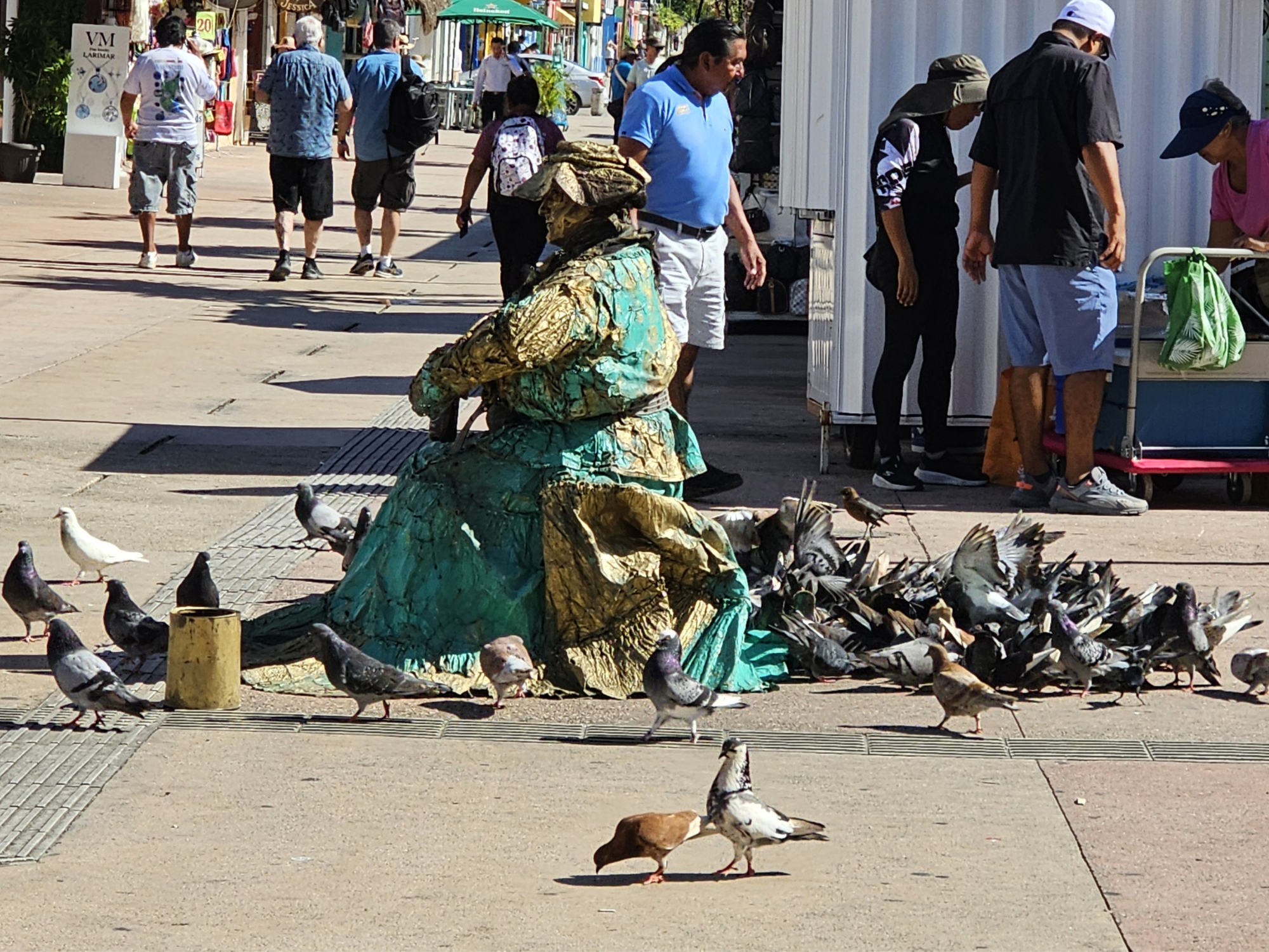 Pigeon lady