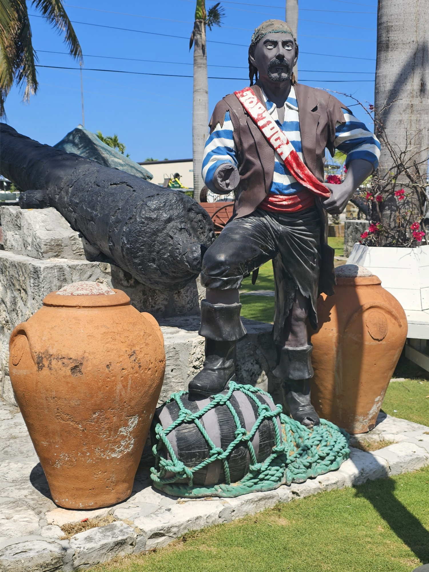 Pirate with bounty