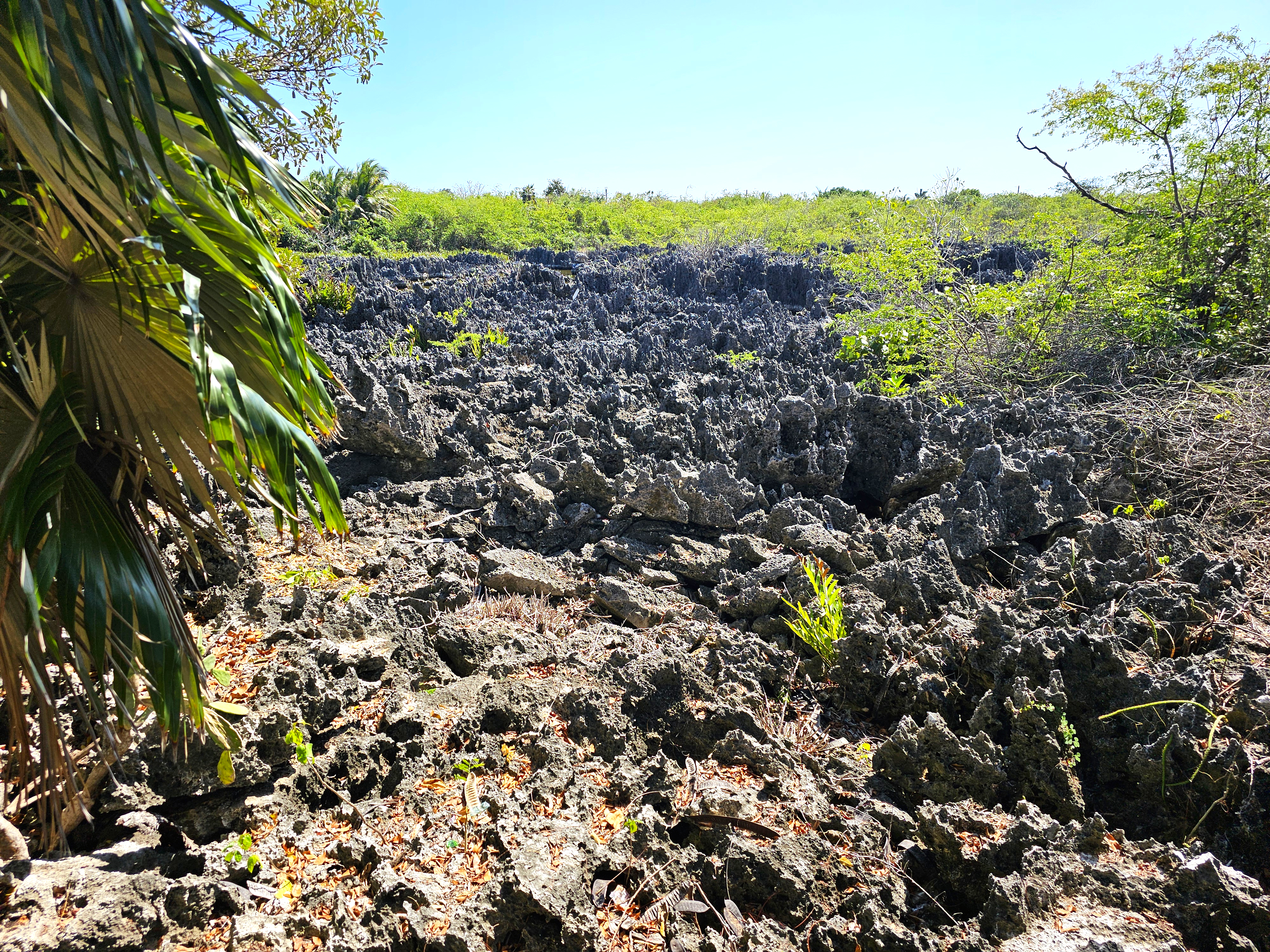 Hell, Grand Cayman Island.
