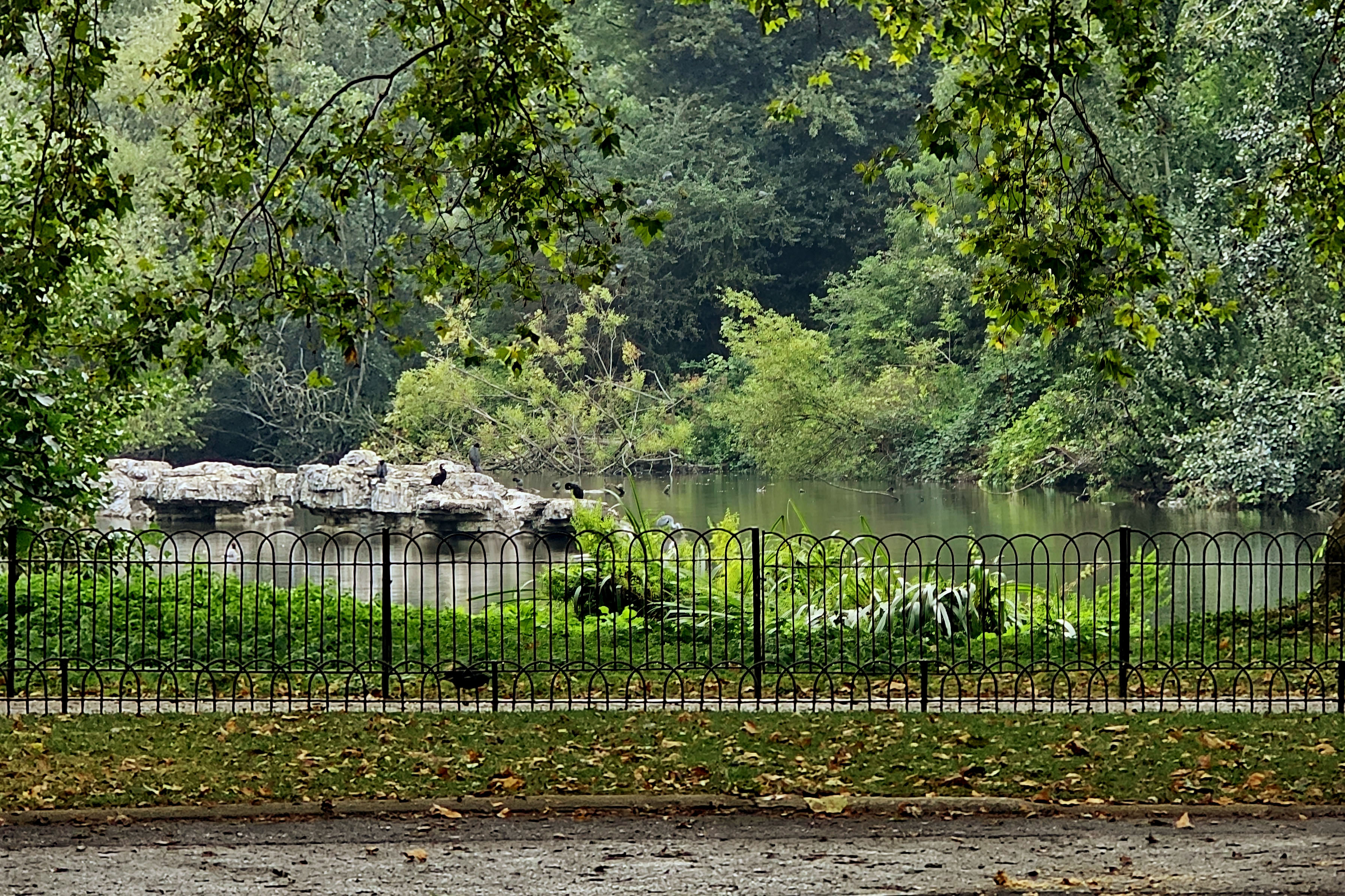 St. James' Park
